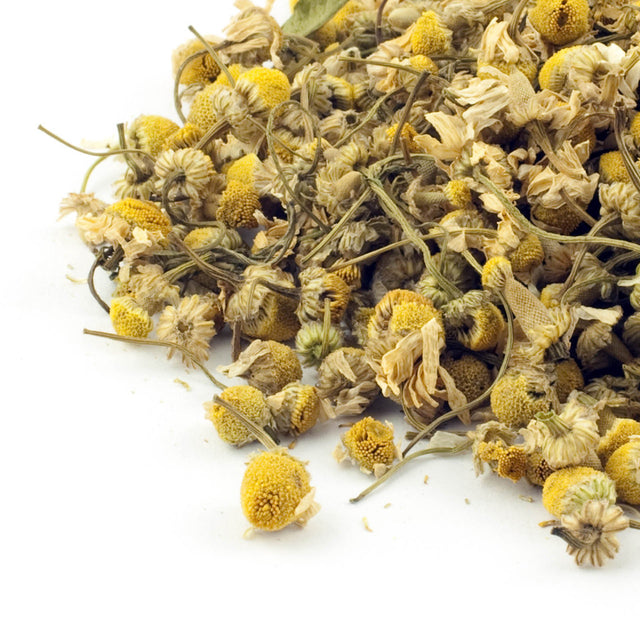 Egyptian Camomile